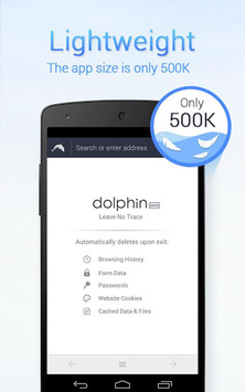 Dolphin Zero Incognito Browser - Private Browser APK screenshot 1
