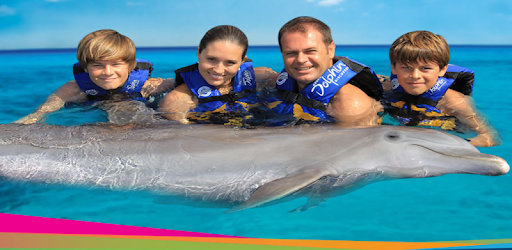 install Dolphin Memories on PC
