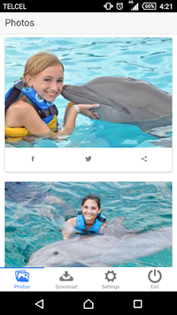Dolphin Memories APK screenshot 1