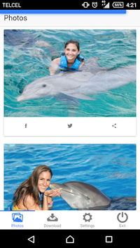 Dolphin Memories APK screenshot 1