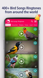 Bird Songs: Ringtones APK screenshot 1