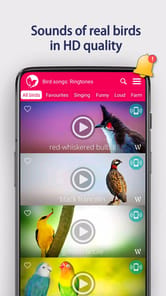 Bird Songs: Ringtones APK screenshot 1