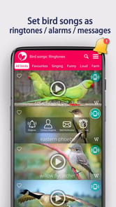 Bird Songs: Ringtones APK screenshot 1