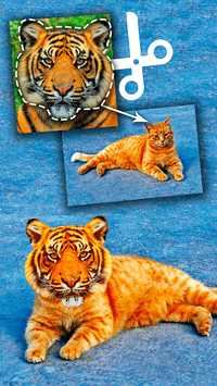 Cut Paste Photo Seamless Edit APK screenshot 1