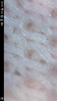 Endoscope Camera APK screenshot 1 Endoscope Camera APK screenshot 1