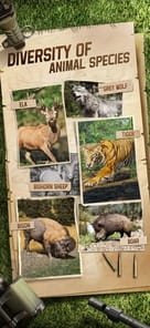 Hunting Sniper APK screenshot 1 Hunting Sniper APK screenshot 1