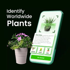 Bloomify - Plant Identifier APK screenshot 1