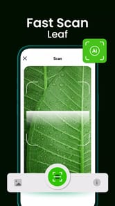 Bloomify - Plant Identifier APK screenshot 1