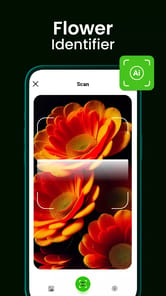 Bloomify - Plant Identifier APK screenshot 1