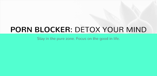 install DETOXIFY - Porn Blocker / Web Filter on PC