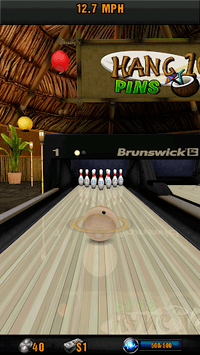 Brunswick Pro Bowling APK screenshot 1