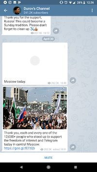 TeleDR تلگرام دی آر APK screenshot 1