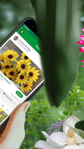 PlantSnap - FREE plant identifier app APK screenshot 1