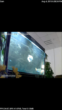 P2PLiveCam APK screenshot 1