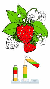Sort Paint: Water Sort Puzzle APK screenshot 1 Sort Paint: Water Sort Puzzle APK screenshot 1