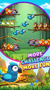Bird Sort 2: Color Puzzle APK screenshot 1