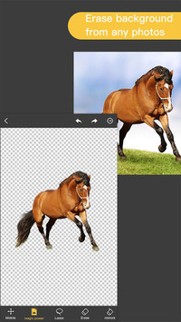 Pro Knockout-Background Eraser & Mix Photo Editor APK screenshot 1