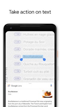 Google Lens APK screenshot 1 Google Lens APK screenshot 1