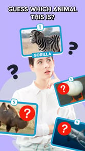 Guess Challenge: Funny Filter APK screenshot 1