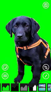 AI Green Screen APK screenshot 1