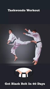 Taekwondo Workout APK screenshot 1