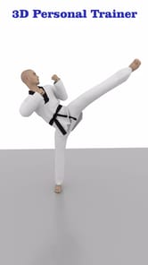 Taekwondo Workout APK screenshot 1