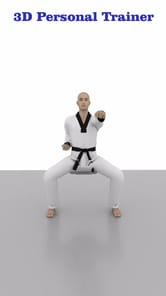 Taekwondo Workout APK screenshot 1