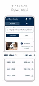 SealX Downloader APK screenshot 1