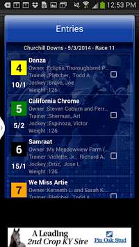 Horse Races Now APK screenshot 1