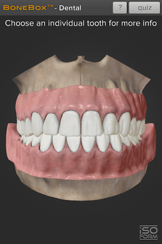 BoneBox™ - Dental Lite APK screenshot 1