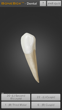 BoneBox™ - Dental Lite APK screenshot 1