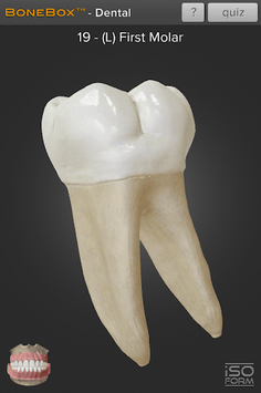 BoneBox™ - Dental Lite APK screenshot 1