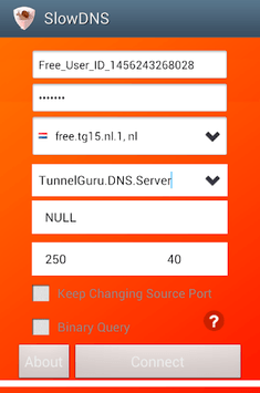 VPN Over DNS  Tunnel : SlowDNS APK screenshot 1