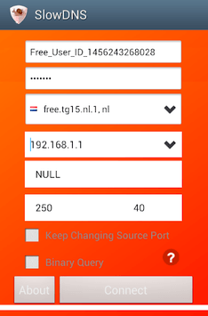 VPN Over DNS  Tunnel : SlowDNS APK screenshot 1