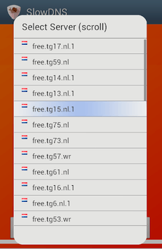 VPN Over DNS  Tunnel : SlowDNS APK screenshot 1