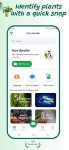Plant identifier APK screenshot 1