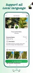 Plant identifier APK screenshot 1