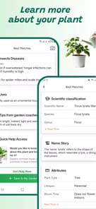 Plant identifier APK screenshot 1