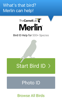 Merlin Bird ID by Cornell Lab of Ornithology APK screenshot 1