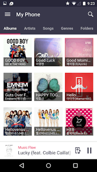Music Flow Player APK screenshot 1
