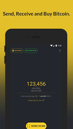 Wallet of Satoshi APK screenshot 1
