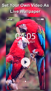Video Wallpaper Creator APK screenshot 1