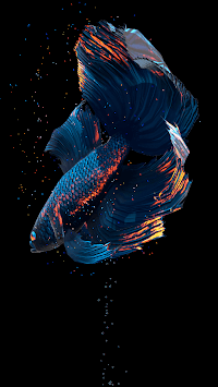 Betta Fish Live Wallpaper FREE APK screenshot 1