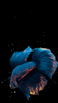 Betta Fish Live Wallpaper FREE APK screenshot 1
