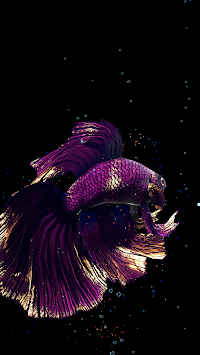 Betta Fish Live Wallpaper FREE APK screenshot 1