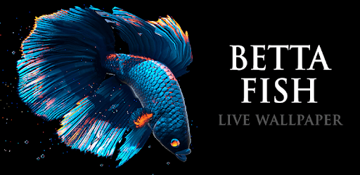install Betta Fish Live Wallpaper FREE on PC
