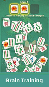 Mahjong Fun APK screenshot 1