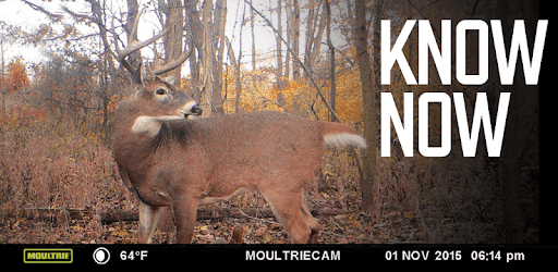 install Moultrie Mobile on PC