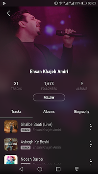 MrTehran - Iranian Music APK screenshot 1 MrTehran - Iranian Music APK screenshot 1