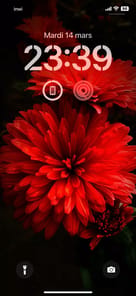 NatureWalls Nature Wallpapers APK screenshot 1